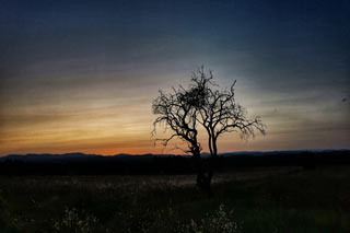 Environnement nature autour de Saint Jean de Serres - chemins et vignes